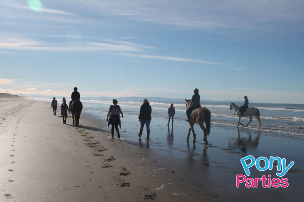 Beach Horse/Pony Riding