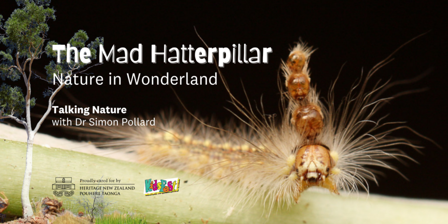 Image of The Mad Hatterpillar, Nature in Wonderland event