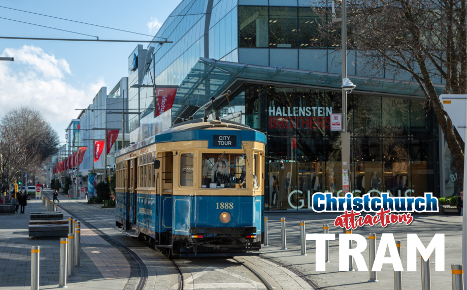 Image of Christchurch Tram Safari event